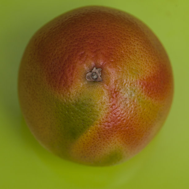 绿色背景上的葡萄柚图片下载