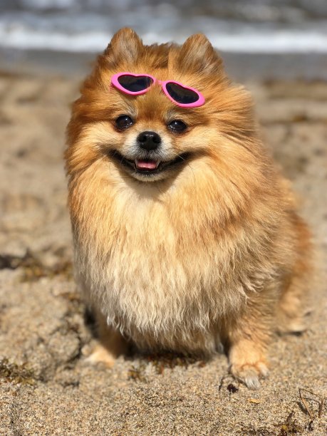 天堂里的阳光图片下载