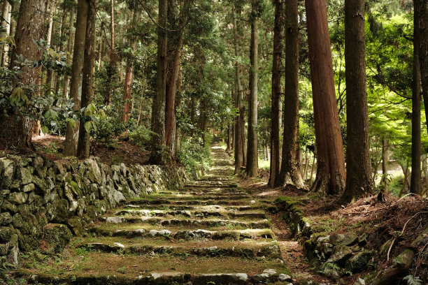 黑田正的老山口图片下载