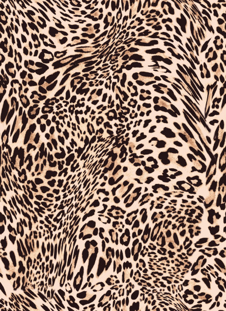 豹纹图案设计图片下载