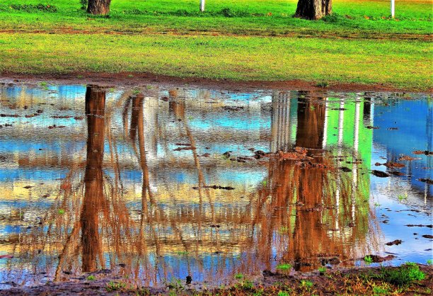 树木和建筑物倒映在水中。图片下载