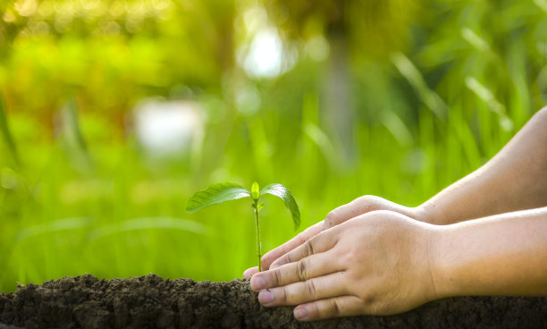 植树爱护环境保护自然滋养植物世界环境日让世界看起来更美丽图片下载