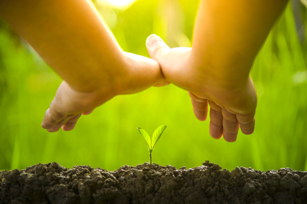 植树爱护环境保护自然滋养植物世界环境日让世界看起来更美丽图片下载