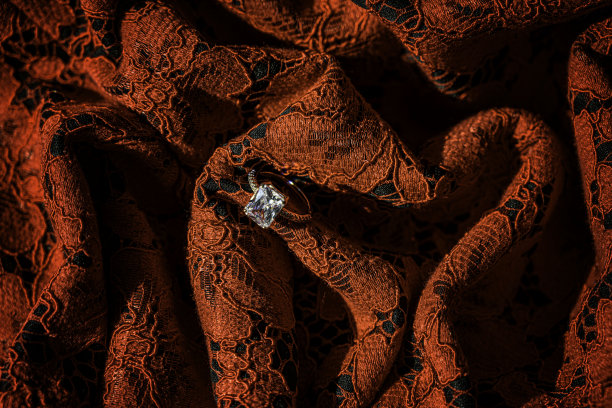 带有背景颜色的啮合环图片下载