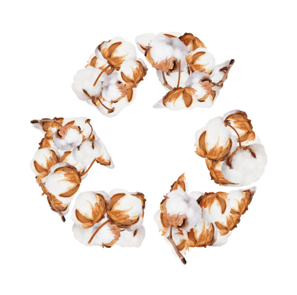 棉花植物花的形式的回收标志，孤立在白色的背景图片下载