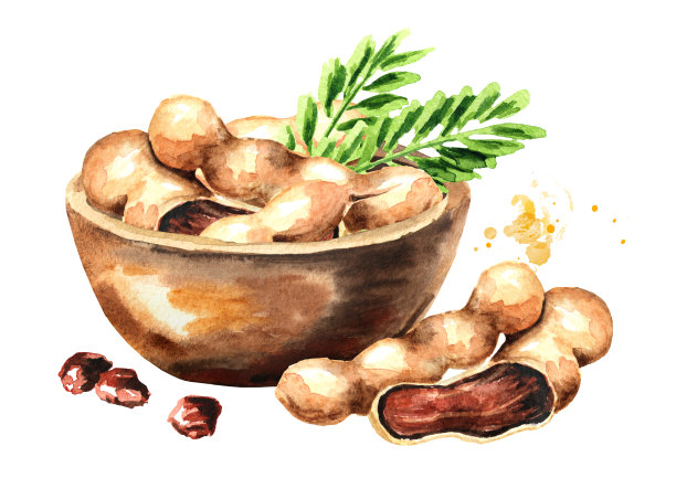 新鲜的罗望子水果在碗里。水彩手绘插图孤立的白色背景图片下载