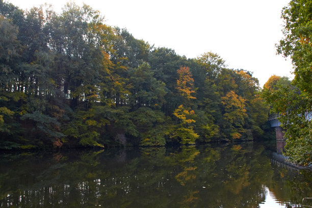 绿色的森林和河流。森林湖。这条河在树林中流过。美丽的自然景色。绿色森林景观照片。森林自然在一个晴朗的日子。德国美丽的自然风光。图片下载