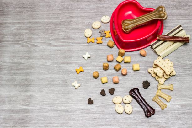 宠物食品，狗的零食图片下载