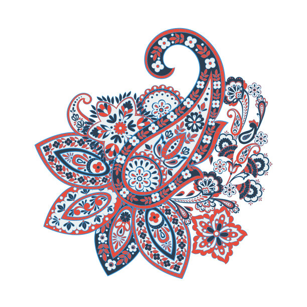 佩斯利民族隔离装饰。矢量图图片下载