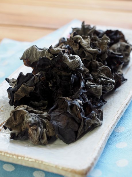 干木耳蘑菇图片下载