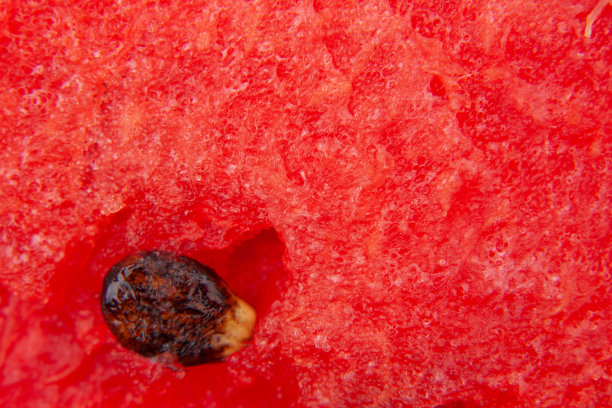 带籽红西瓜的质地图片下载