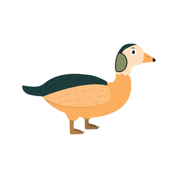 侏儒鹅图标在平坦的风格，非洲动物矢量插图图片下载