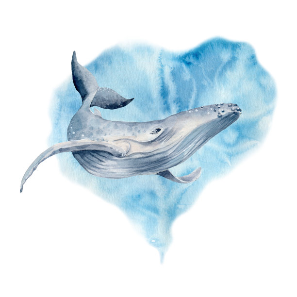 深海的对象图片下载