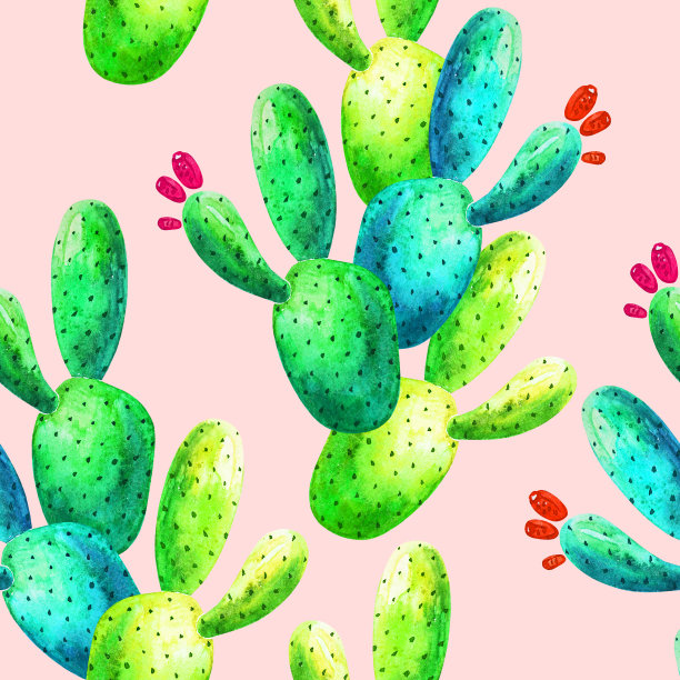 夏季水彩仙人掌无缝模式粉红色的背景。自然设计与异国情调的仙人掌植物和花卉图片下载