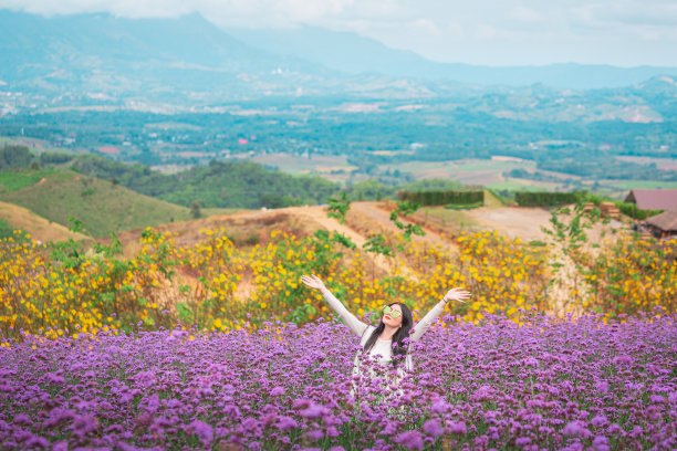 女人享受着鲜花，田野自然，幸福生活图片下载