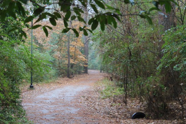 隐藏的路径图片下载