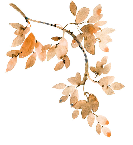 水彩画的树叶图片下载