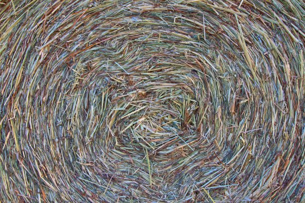 干草捆细节图片下载