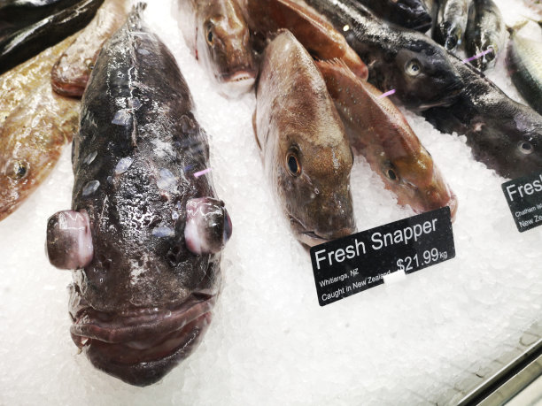 鱼市出售的鲷鱼生鱼图片下载