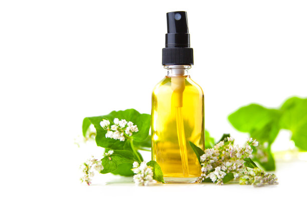 普通荞麦精油在美丽的瓶子在白色的背景图片下载