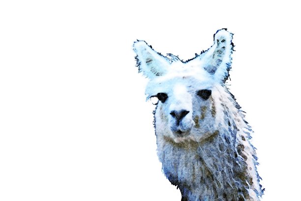 骆驼的水彩画图片下载