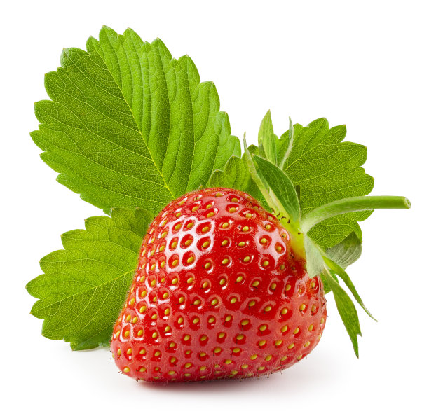 孤立的白色叶子的草莓图片下载