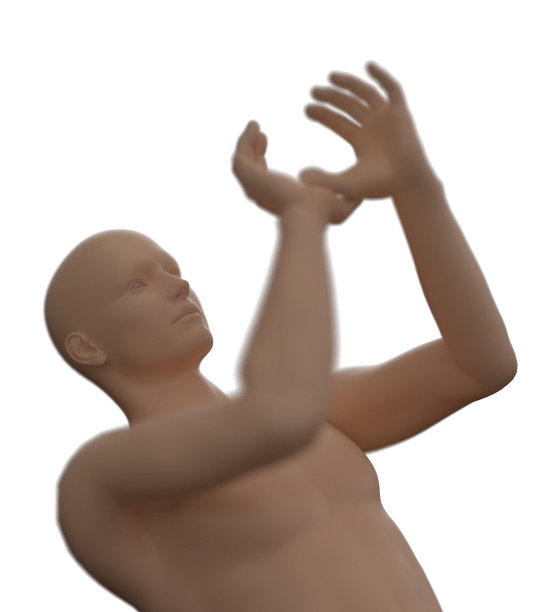 骨骼骨骼解剖的三维渲染插图图片下载