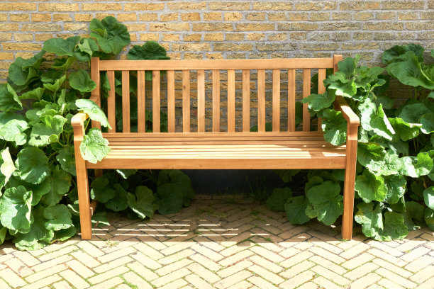 带有绿色叶子的木制花园长凳图片下载