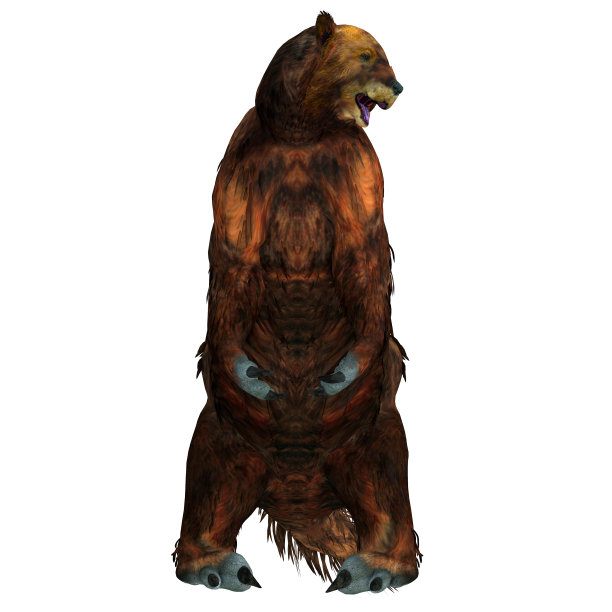 大地懒属懒惰坐图片下载