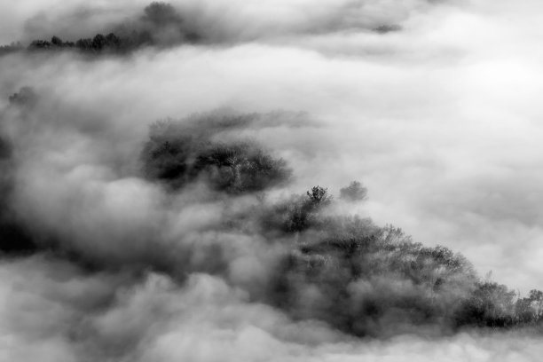 日出之上的薄雾森林，意大利的风景图片下载