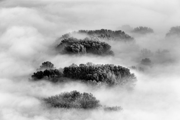 日出之上的薄雾森林，意大利的风景图片下载