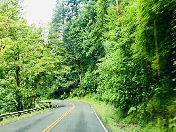 深渊之路图片下载