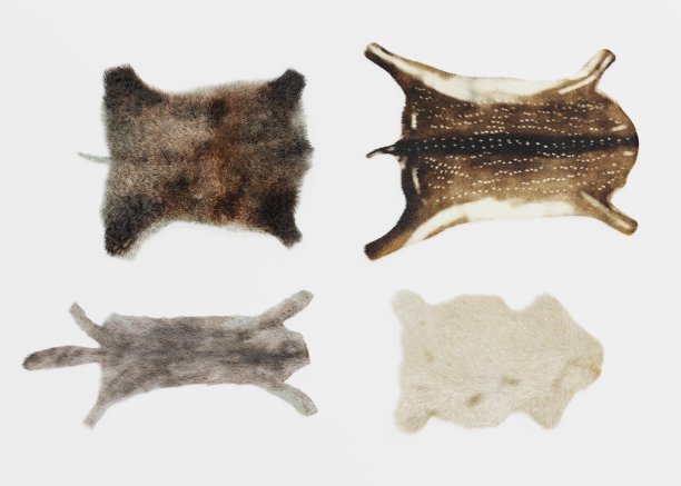 动物皮肤逼真的3D渲染图片下载