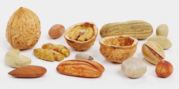 坚果集合的现实3D渲染图片下载