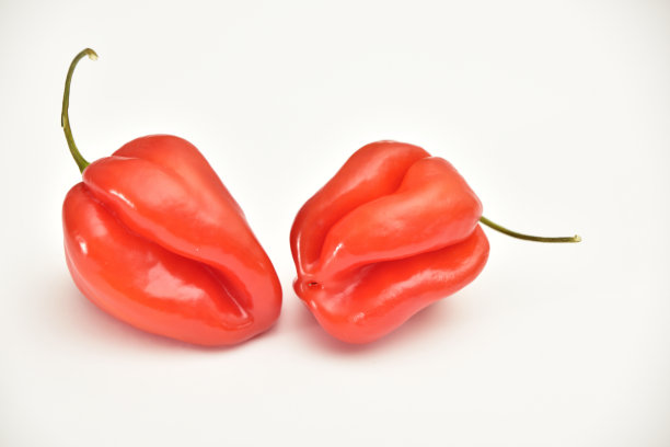 哈瓦那辣椒图片下载