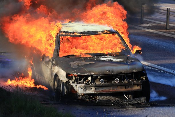 比尔布兰德图片下载