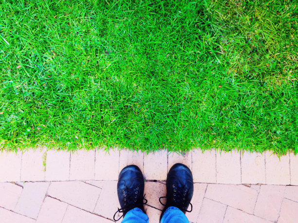 俯视草坪边缘和铺路的鞋子图片下载