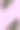 创意的热带绿叶布局。自然春天的概念。模式图片下载