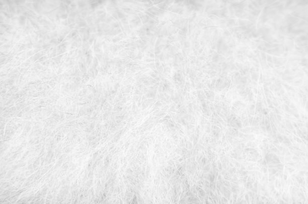 背景颜色柔和，纹理白色带有黑色毛茸茸的博美狗毛图案图片下载