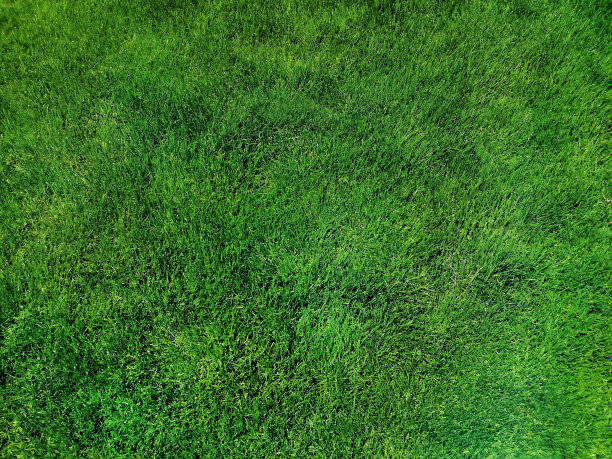 绿草如茵，俯视图。封面、背景或模板图片下载
