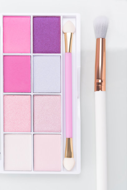 一套粉色眼影与刷在一个明亮的背景图片下载