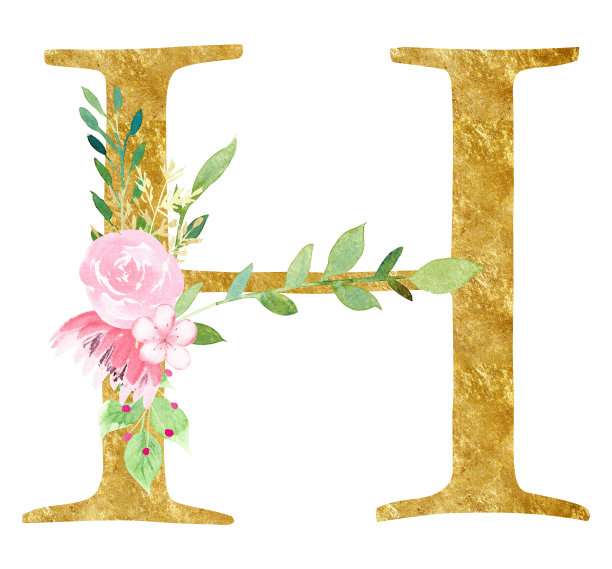 H字母与粉红色花朵栅格插图图片下载