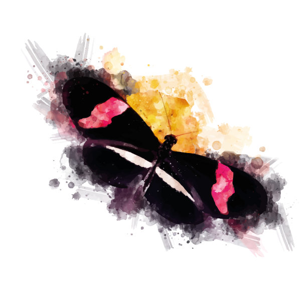 红色邮差蝴蝶图片下载