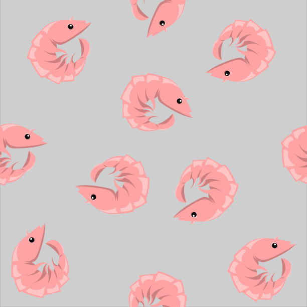 灰色背景上的虾。图片下载