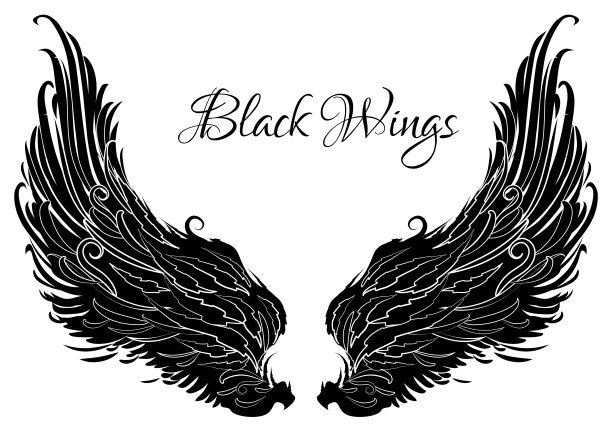 黑白相间的装饰翅膀。天使的翅膀。纹身模板。素材图片