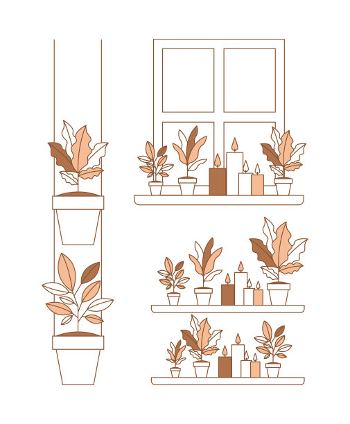 一组室内植物，家居装饰图片下载