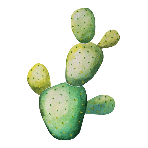 水彩仙人掌孤立在白色的背景图片下载