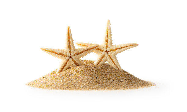 节日的概念图片下载