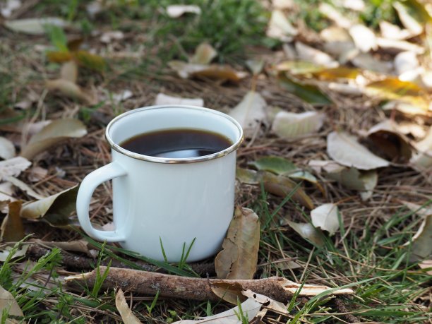 白色搪瓷杯，咖啡放在地上，上面是落叶图片下载