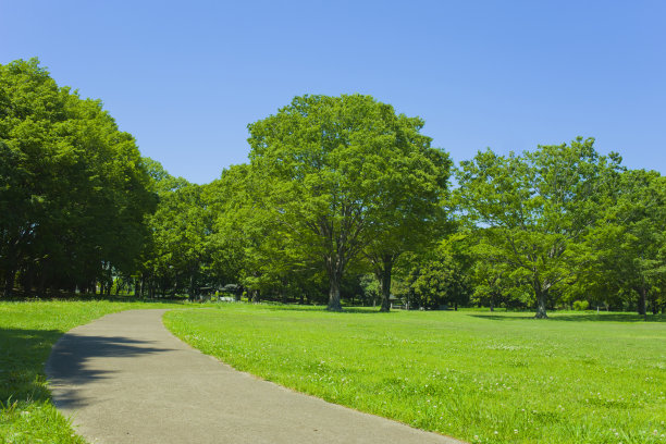 花园小径图片下载